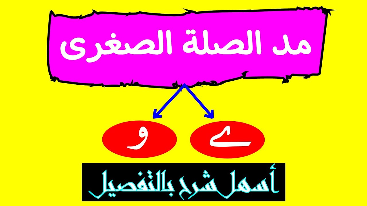 مد الصلة الصغرى بالتفصيل 👌