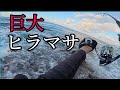 【ヒラマサ】ついに獲った!地磯からルアーを投げ続けて手にした巨大ヒラマサ!?