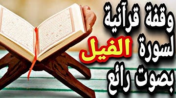 قرآن كريم - سورة الفيل  - قران كريم بصوت جميل جدا جدا قبل النوم 😌🎧 راحة نفسية لا توصف