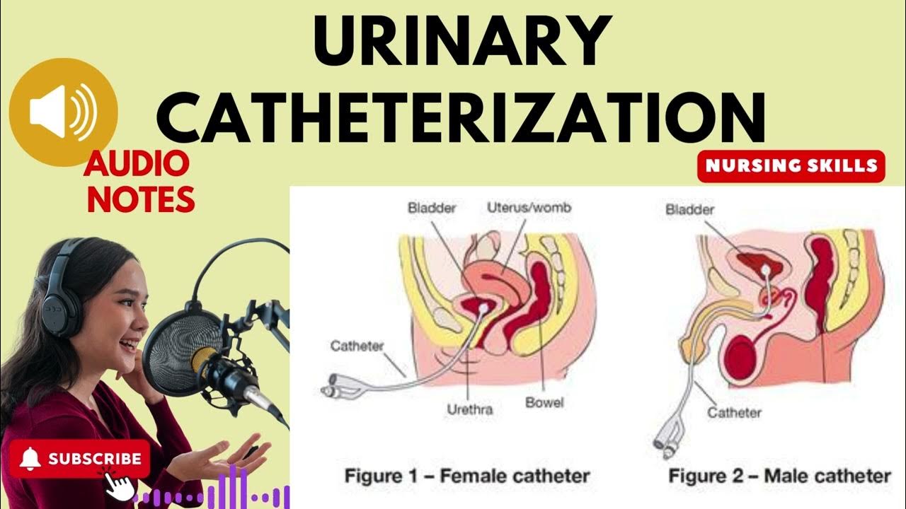 Urinary Catheterization. Fundamentals Of Nursing . Audio Notes. YouTube