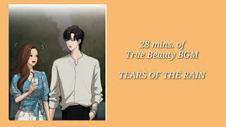 28 mins. Of True Beauty Background Music (BGM) |TEARS OF THE RAIN |