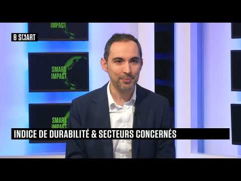 SMART IMPACT -
