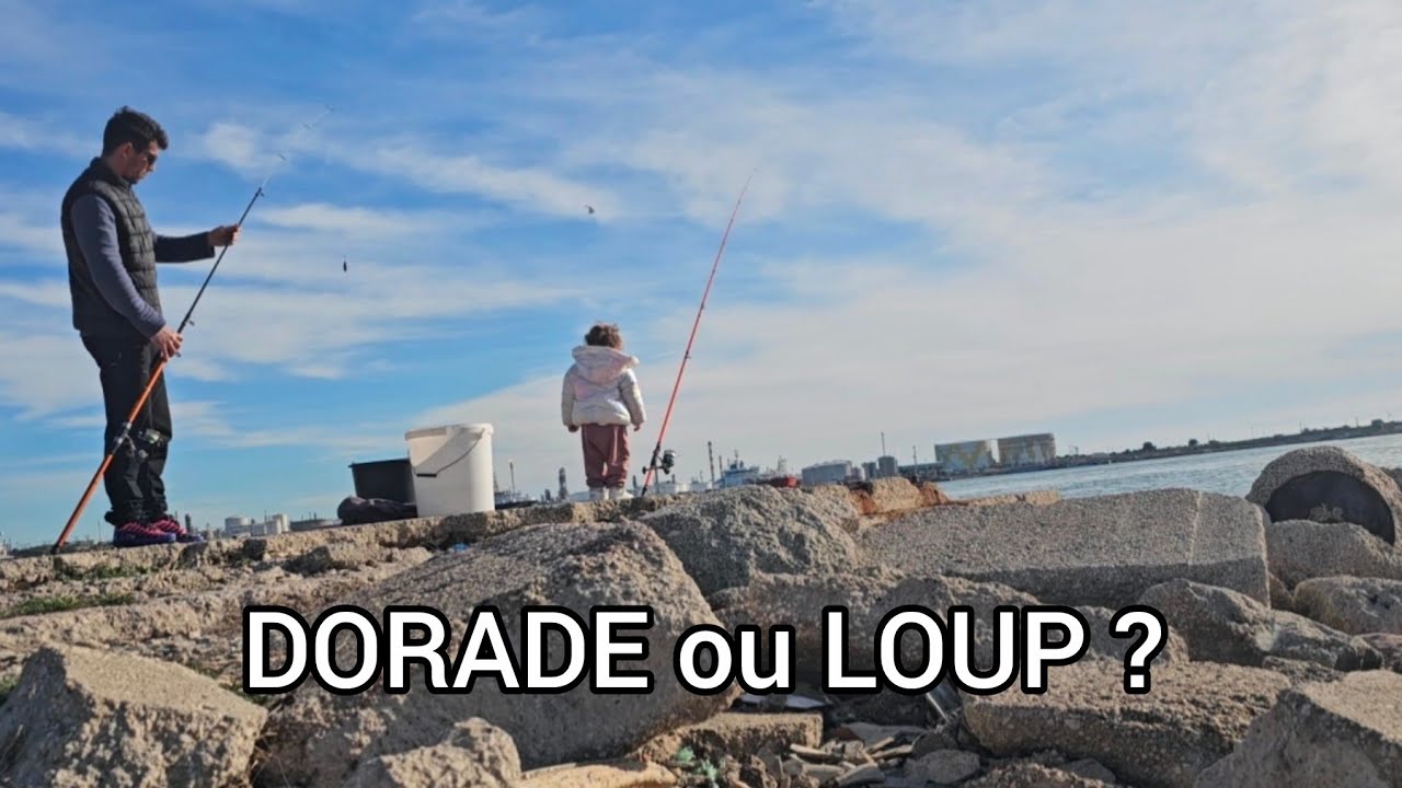 Pêche en Méditerranée en famille 🌊 Dorade au bibi & Loup au vif | Belle journée d’hiver