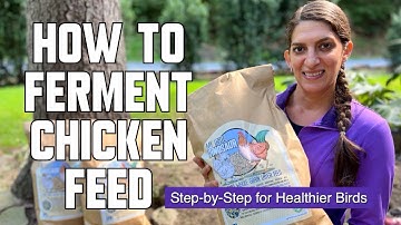 How to ferment Chicken Feed: Step-by-Step for Healthier Birds
