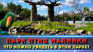 Оазис рядом с Ростовом: Парк птиц «Малинки» глазами туриста