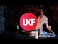 gyrofield - Snake Charmer