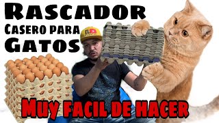 Rascador para Gatos CASERO HECHO CON CUBETAS DE HUEVOS