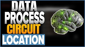 Where To Find Data Processing Neural Circuit In The First Descendant