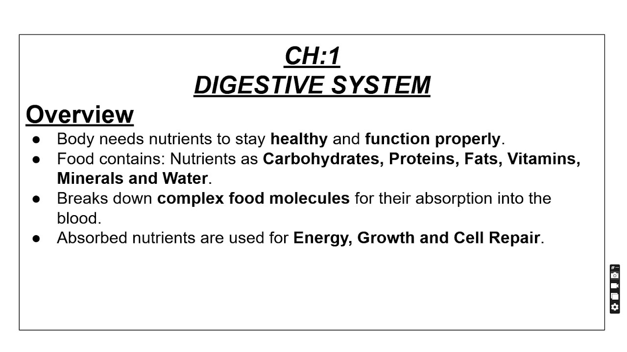 Digestive System Of Man | Lecture No.1 | Federal Board | HSSC-II | Biology |