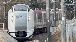 （4003M）【※サドナン編成E259系横クラNe003編成［特急しおさい3号銚子行］南酒々井駅2番線ホーム臨時停車