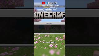 MİNECRAFT'I ARTIK TEK OYNAMAK ZORUNDA DEĞİLSİN?! ⛏🧿