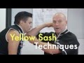 White Dragon Martial Arts Video Tutorial Site