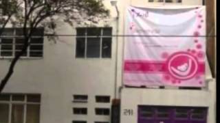 Yolia Video Insucional