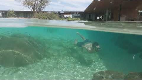 Residência EA - Jacobsen Arquitetura