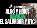 ALGORANDO ALGO⚠️ALIANZA ENTRE HEDERA Y ALGORAND🚨EL SALVADOR Y ALGO RAILS PARA BITCOIN