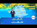 أحوال الطقس ليوم الأربعاء 04 فيفري 2026