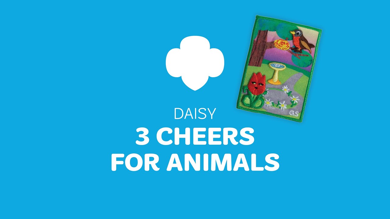 Daisy 3 Cheers for Animals Journey YouTube