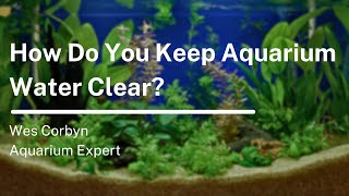 How Do You Keep Aquarium Water Clear?