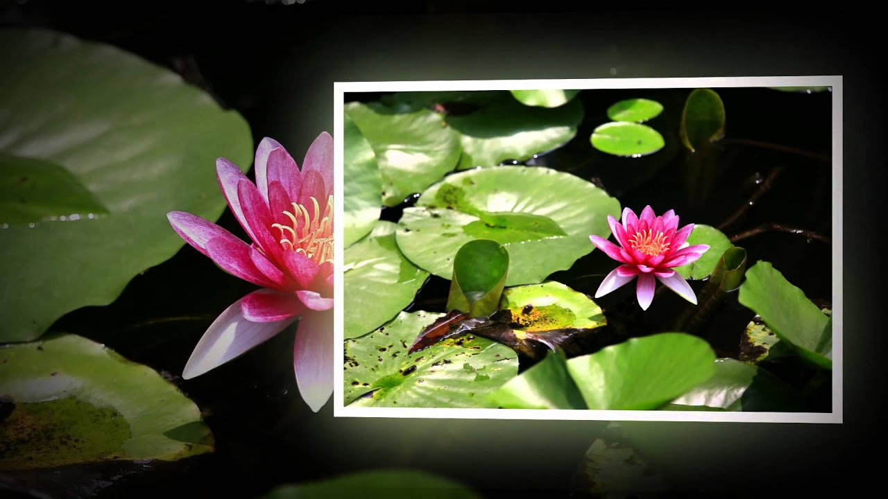 Absolute Elite College Event   China USA   Wuxi Tour