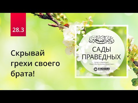 28.3 Скрывай грехи своего брата! Хадис 240 | Сады праведных. Ринат Абу Мухаммад