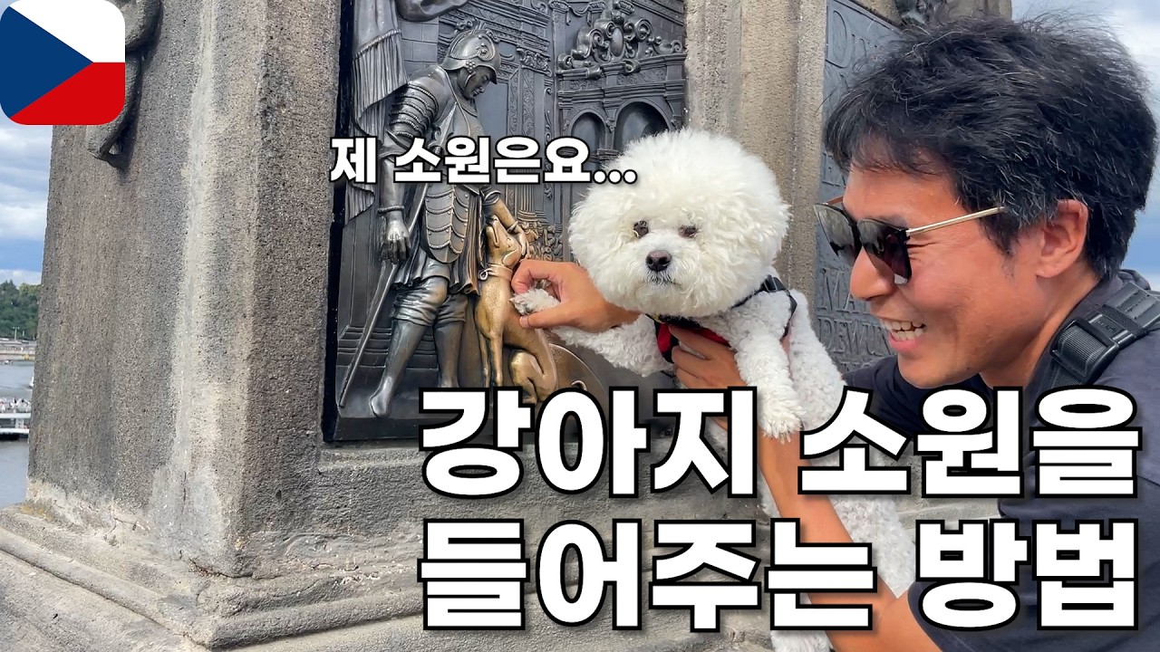 🇨🇿 우리 강아지의 소원은 무었일까? 체코 프라하 여행 강아지 여행 유라시아 횡단 내차타고 세계여행 [070]