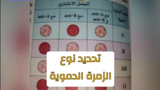 تحديد نوع الزمرة الدموية.الذات واللاذات.الرابعة متوسط.دروس العلوم الطبيعية