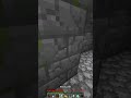 MAI GUARDARE RAI 1 su MINECRAFT...