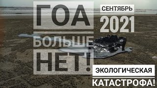 ШОК! ГОА больше НЕТ!! Экологическая КАТАСТРОФА!