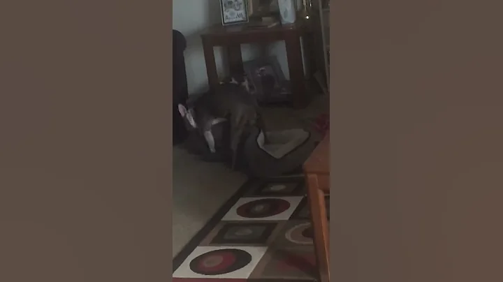 Dymond and her Bed