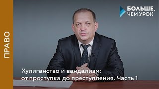 Хулиганство и вандализм: от проступка до преступления. Часть 1