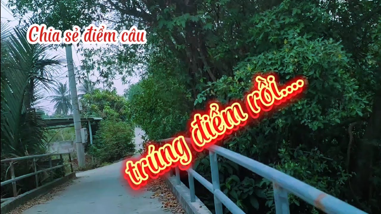 Chia sẻ điểm câu/Lại trúng điểm câu yên tĩnh cá rô nhiều...