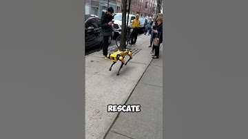 ¡Perro vs. Perro Robot! 😱#shorts