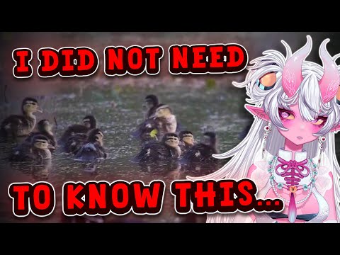 I THOUGHT THIS WAS REAL FACTS VTuber First Time Reaction To Ze Frank