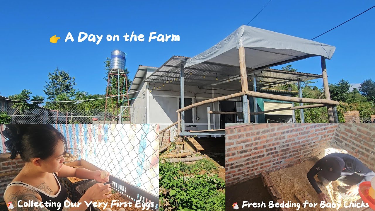 First Time Collecting Fresh Eggs - Cleaning the Coop & Changing Bedding for Baby Chicks I Ep17