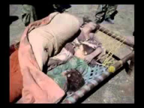 هزتني صرخات الأيامى