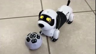 Follow The Dachshund Robot Puppy  Cute and Fun!!