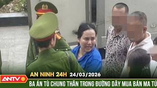 Full An ninh 24h ngày 24/3: Ba án tù chung thân vụ biến container thành cứ điểm giao dịch ma túy | ANTV Guide