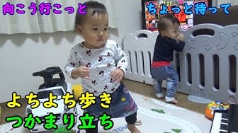 よちよち歩き Youtube