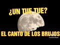 TUE TUE CANTANDO - El vuelo de los brujos