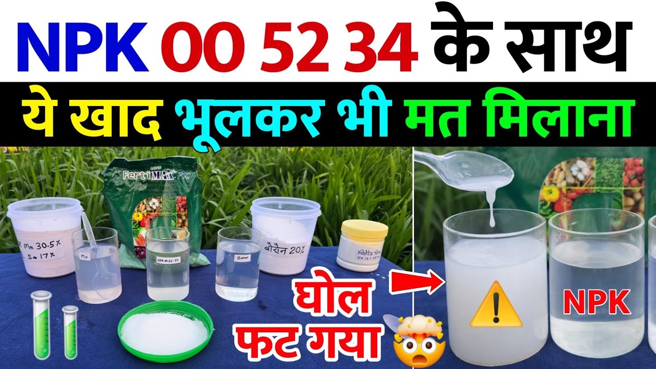 NPK 00 52 34 के साथ 🧪 ये खाद भूलकर भी मत मिलाना ⚠️ | घोल फट गया | Practical Result देख लो 👍