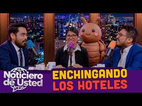 ENCHINCHANDO LOS HOTELES | Noticiero de Usted - Ep 22 @noticierodeusted