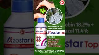 AZOSTAR TOP - Azoxystrobin 18.2% + Difenoconazole 11.4% (Fungicide)