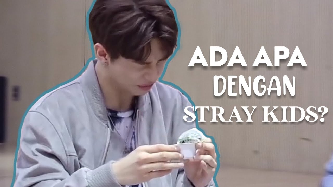 ADA APA DENGAN STRAY KIDS?
