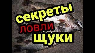 Секреты ловли щуки зимой! ПОДВОДНАЯ СЪЁМКА!    Правила! Советы! Тонкости! Идеи! Ловля на жерлицы!!!