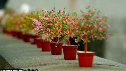#سورة_المزمل بصوت القارئ اسامة صبحي حسين #تلاوة #القرآن_الكريم #قرآن #القرآن #قران