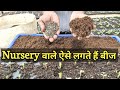 नर्सरी में इस चीज से तुरंत पौधे को बड़ा कर लेते हैं | Plants Grows fast with this in Nursery