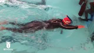 David mellor pool training 10th July 2019