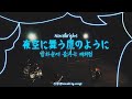 ✨Novelbright - 夜空に舞う鷹のように (밤하늘에 나는 매처럼)🎶✨한글해석/ 일본어발음/자막⭕ ᅵ#밤하늘에나는매처럼 #노벨브라이트 #novelbright