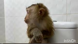 My Brother After Bathing