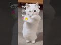 ١٤ يونيو ٢٠٢٦